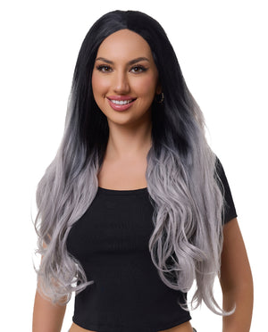 Gray Mix Ombre 22" Body Wave Synthetic Lace Front Wig - ABHAIR