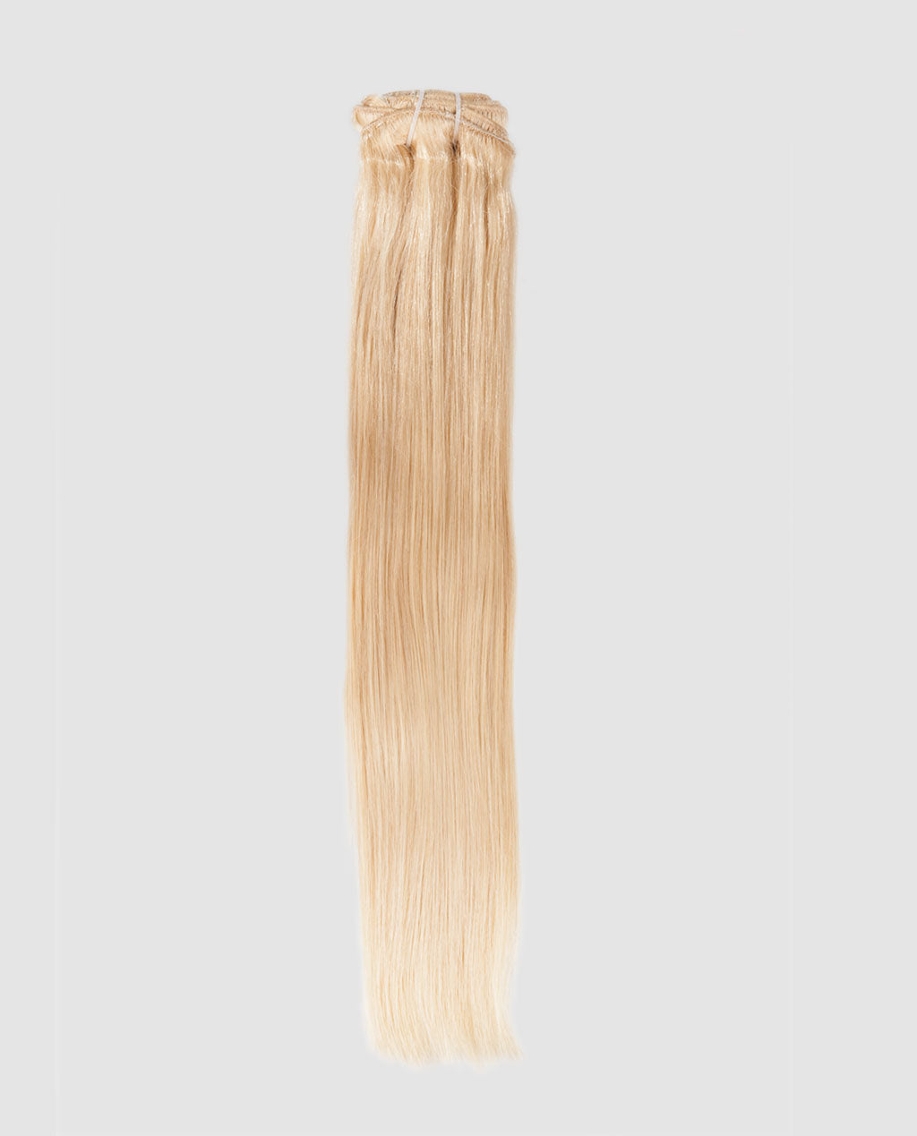 Bleach White Blonde (#613) - 10 Piece