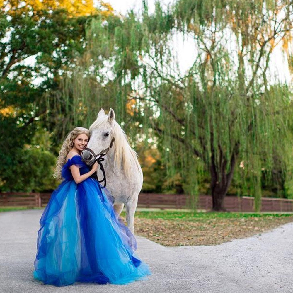 Cinderella Costume Wig